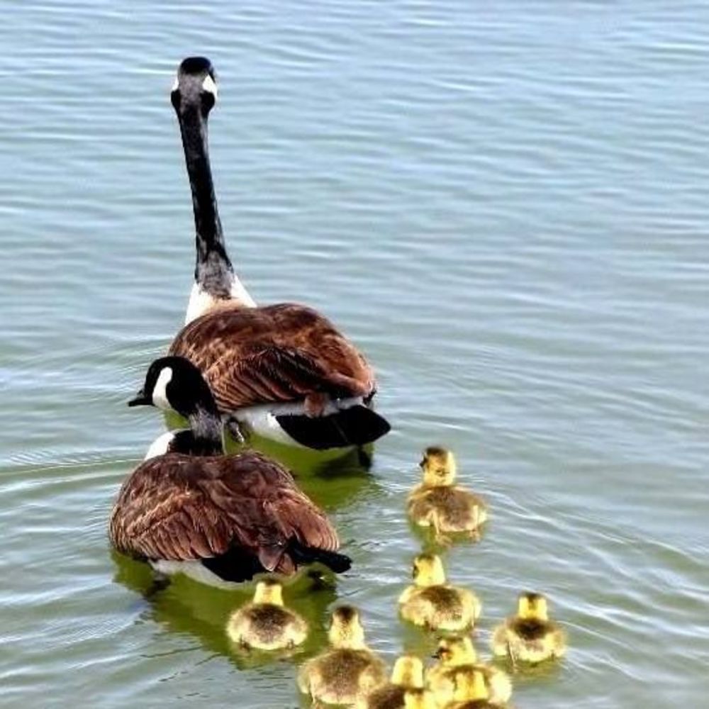 Meet your Posher, Jamela